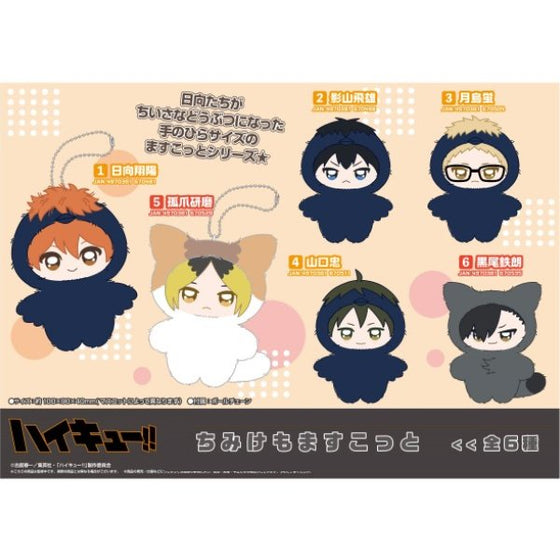 Haikyu!! Chimike Momascott 1~6 (Shoyo Hinata / Tobio Kageyama / Kei Tsukishima / Tadashi Yamaguchi / Kozume Kenma / Tetsuro Kuroo) 排球少年 鎖匙扣 吊飾 掛飾