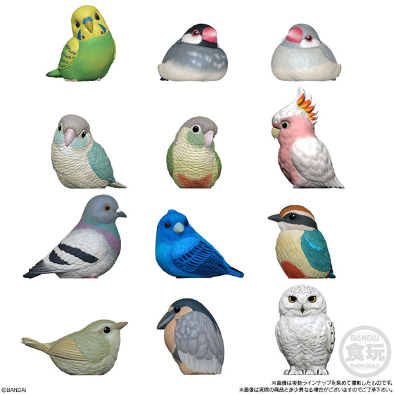 TE-NORI FRIENDS 10 BIRD W/O GUM (set of 12) tenori