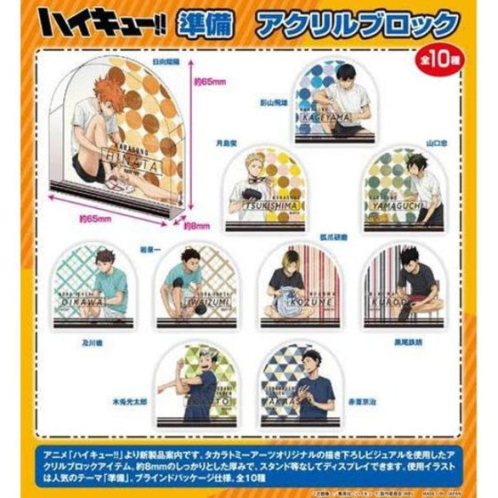 HAIKYU!! PREPARATION ACRYLIC BLOCK (set of 10) 排球少年 立牌
