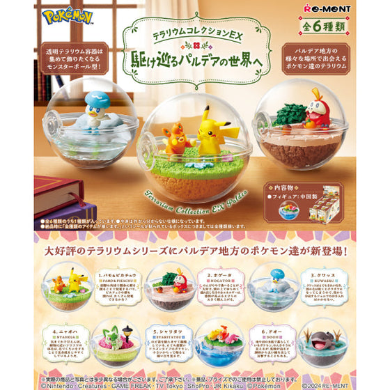 REMENT - POKEMON Terrarium EX Paldea (set of 6) (2024 Aug resale ver.) 寵物小精靈 寶可夢 帕底亞