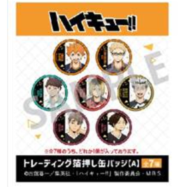 Haikyu!! Trading Foil Stamping Can Badge A (Set of 7) 排球少年 襟章