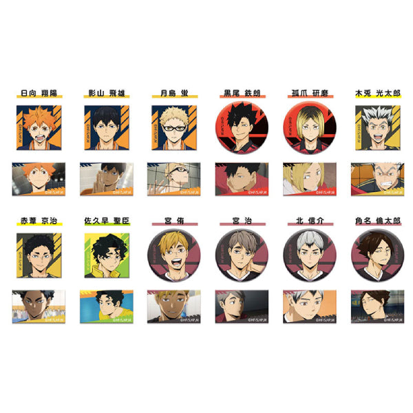 AreCore CAN Badge Haikyuu!! (box of 48 packs) 排球少年 襟章