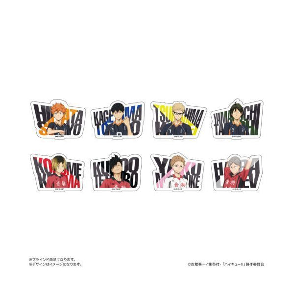 Haikyu!! Acrylic Name Badge (set of 8) 排球少年 名字襟章 徽章