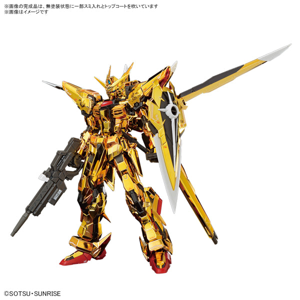 RG 1/144 AKATSUKI GUNDAM OOWASHI unit 機動戰士 高達 曉高達 大鷲裝備