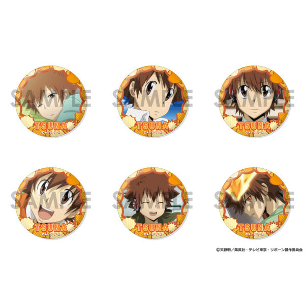 Katekyo Hitman Reborn! Tsunayoshi Sawada Selection Can Badge Set 家庭教師 襟章 沢田 綱吉
