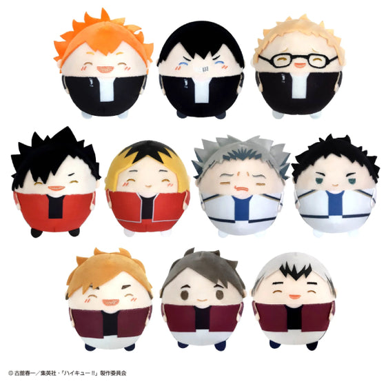 Haikyu!! Fuwakororin Special (set of 10) (2024 June Resale ver.) 排球少年