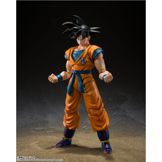 S.H.Figuarts SON GOKU SUPER HERO REISSUE 龍珠 孫悟空 SHF