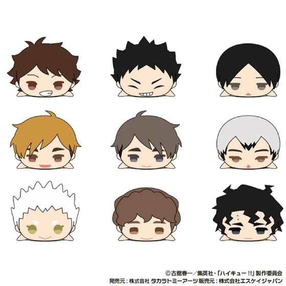 Mochimochi Mascot WA Haikyu!! vol.2 (set of 9) 排球少年 公仔