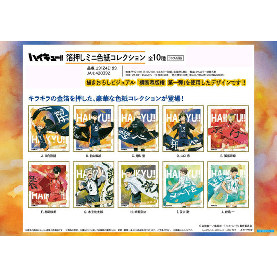 Haikyu!! Foil Stamped Mini Colored Paper Collection Banner Copyright 1st Edition (set of 10) 排球少年 色紙 shikishi