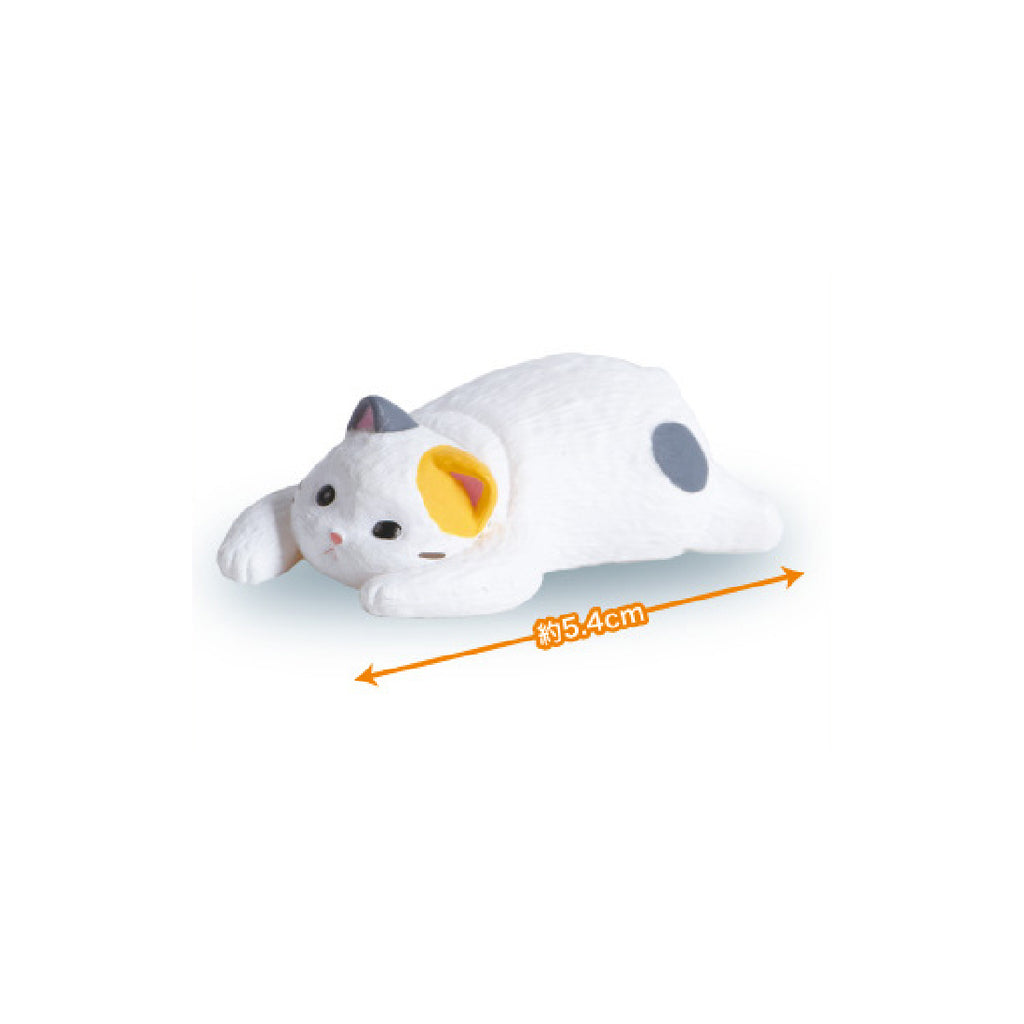 KYOMU - Cat 3 (box of 10) 貓