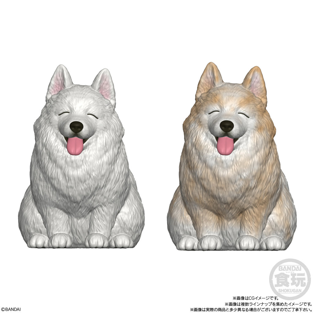 MOCCHIRI KORORIN ♪DOGS W/O GUM (set of 8) 狗