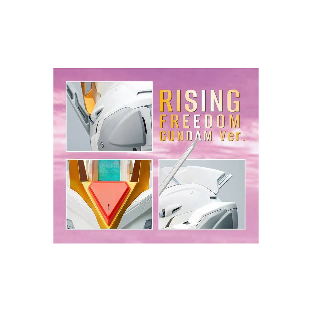 BN HEAD COLLECTION RISING FREEDOM GUNDAM 機動戰士 高達 飛昇自由高達