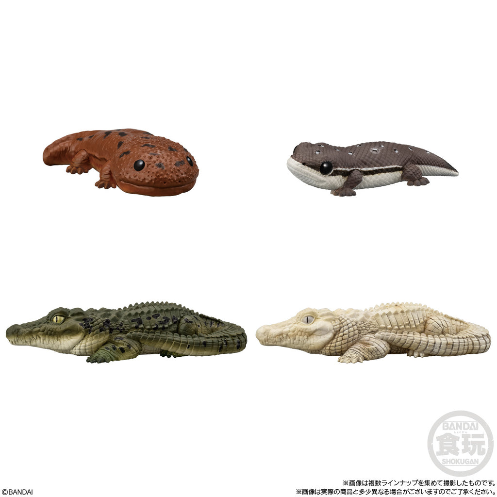 TE-NORI FRIENDS 12 -REPTILES & AMPHIBIANS-  W/O GUM (set of 12) 兩棲動物
