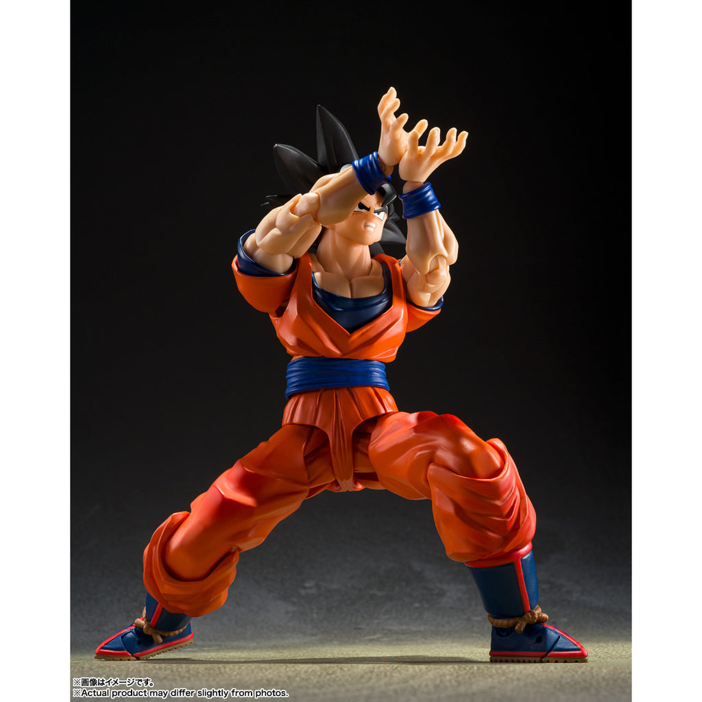 S.H.Figuarts SON GOKU (THE KIND-HEARTED SAIYAN) 龍珠 孫悟空