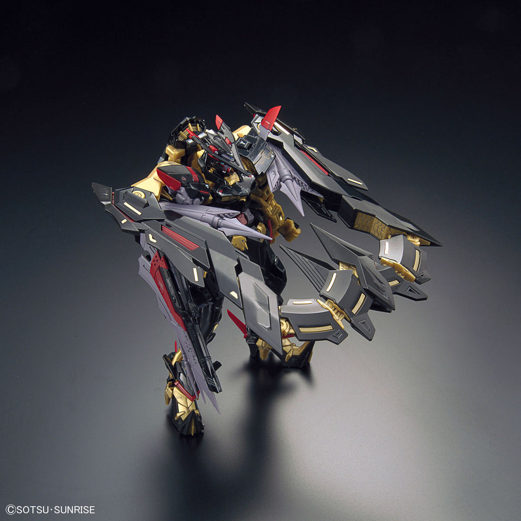 RG 1/144 Gundam Astray Gold Frame Amatsu Mina 機動 戰士 迷惘 高達 蜜娜