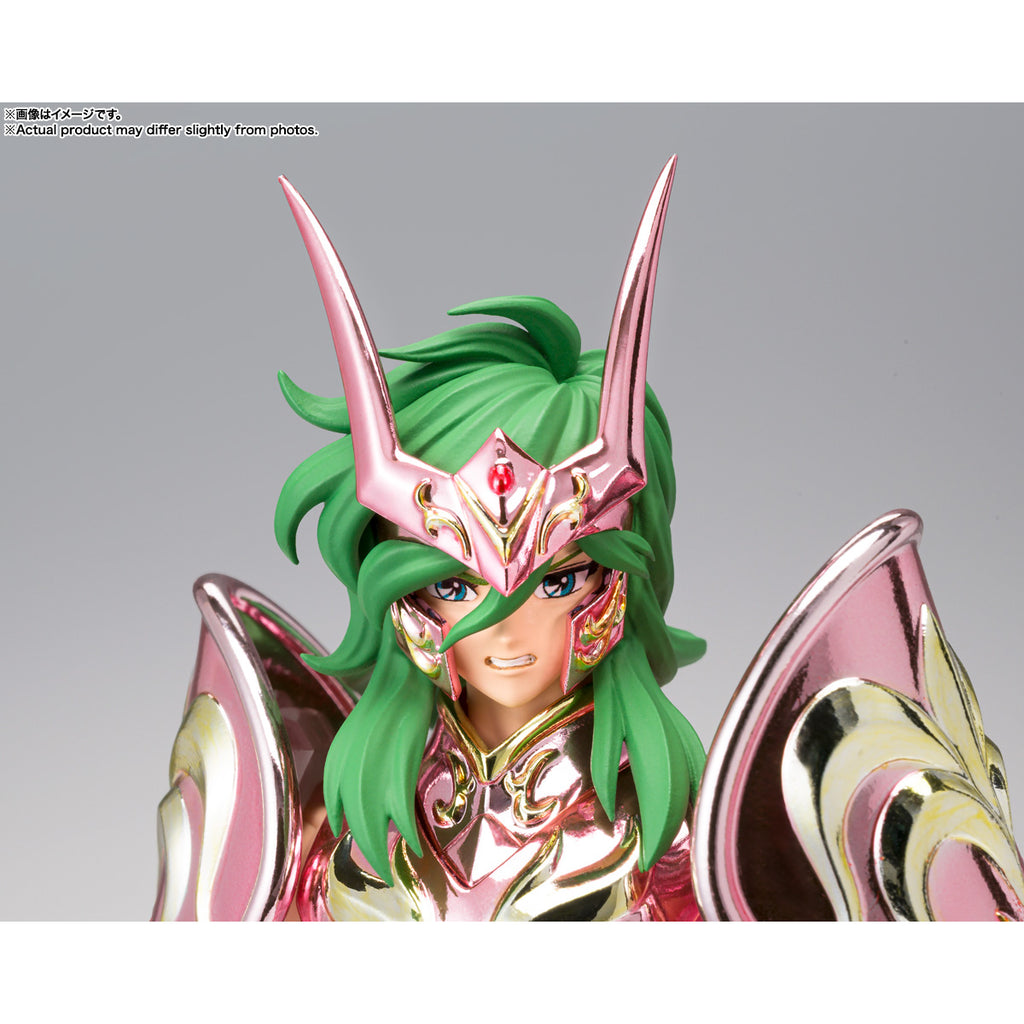 SAINT CLOTH MYTH EX ANDROMEDA SHUN【GOD CLOTH】 聖闘士 仙女座 瞬