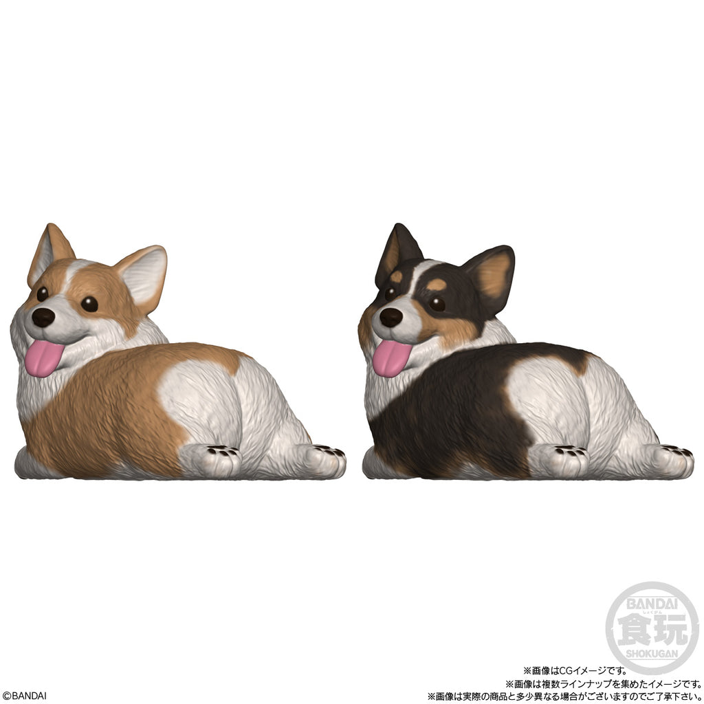 MOCCHIRI KORORIN ♪DOGS W/O GUM (set of 8) 狗
