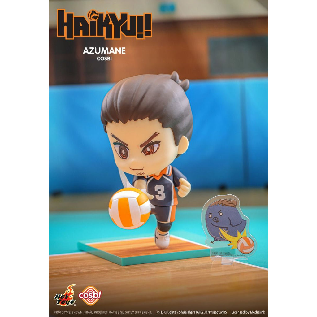 Haikyu!! Cosbi Collection (box of 8) 排球少年 烏野