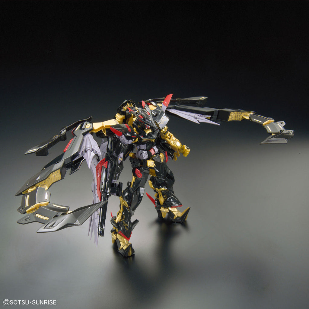 RG 1/144 Gundam Astray Gold Frame Amatsu Mina 機動 戰士 迷惘 高達 蜜娜