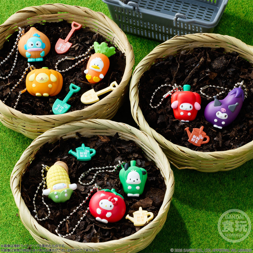 SANRIO CHARACTERS VEGETABLE CHARM SHOKUGAN BOX 3 (pack of 12) 三麗鷗