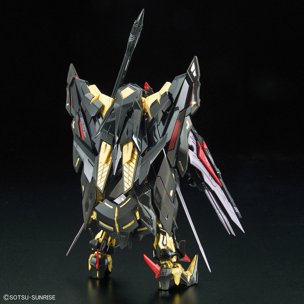 RG 1/144 Gundam Astray Gold Frame Amatsu Mina 機動 戰士 迷惘 高達 蜜娜