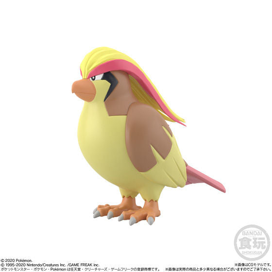 POKEMON SCALE WORLD KANTO REGION 2 SET 精靈 寶可夢 關都 地區