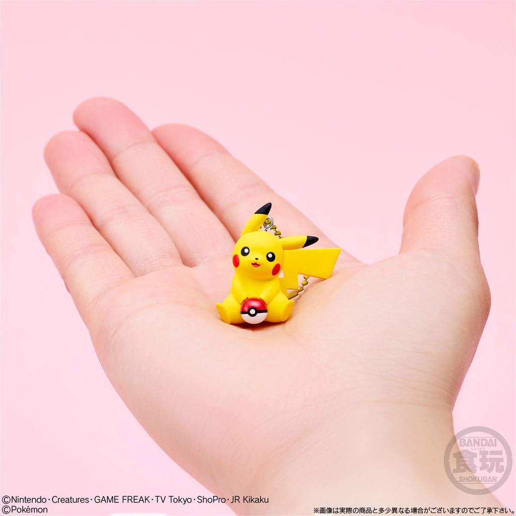 PIKACHU MASCOT & BISCUIT PIKACHU HOLIDAY (pack of 10) 寵物 小 精靈 寶可夢