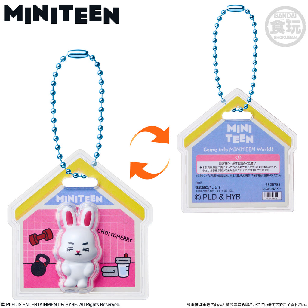 MINITEEN PACKAGE CHARM & GUMMY (pack of 12)