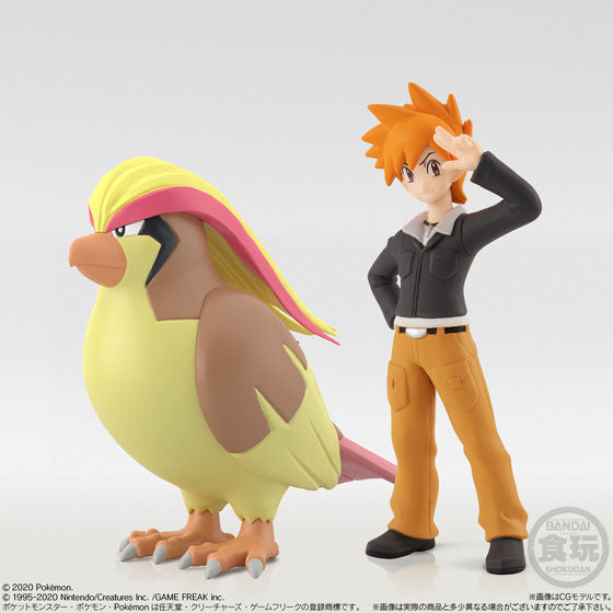 POKEMON SCALE WORLD KANTO REGION 2 SET 精靈 寶可夢 關都 地區