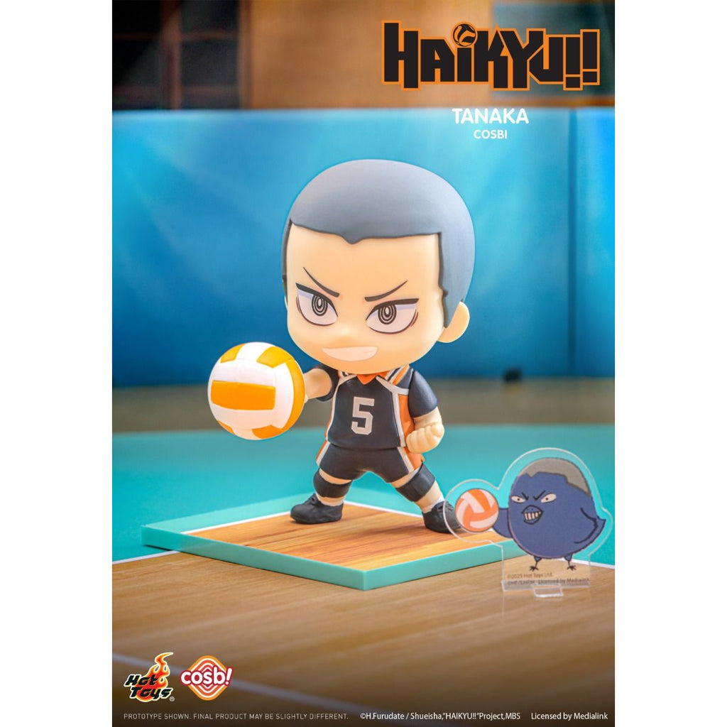 Haikyu!! Cosbi Collection (box of 8) 排球少年 烏野
