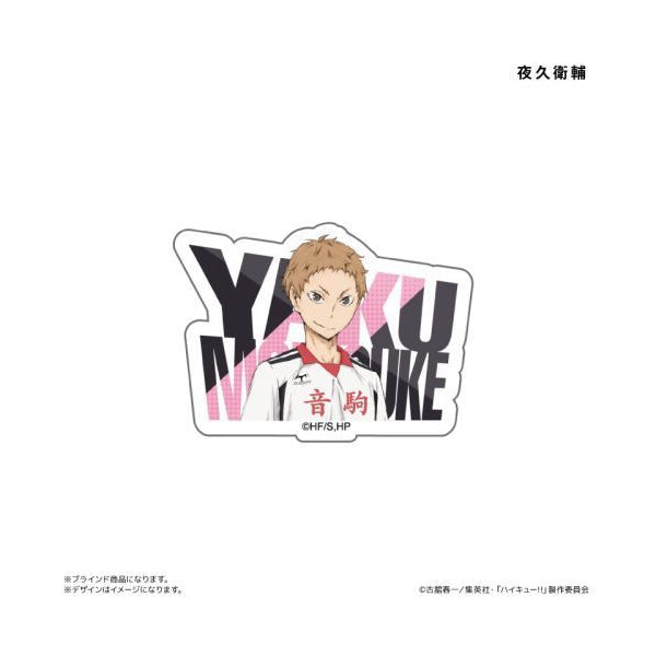 Haikyu!! Acrylic Name Badge (set of 8) 排球少年 名字襟章 徽章