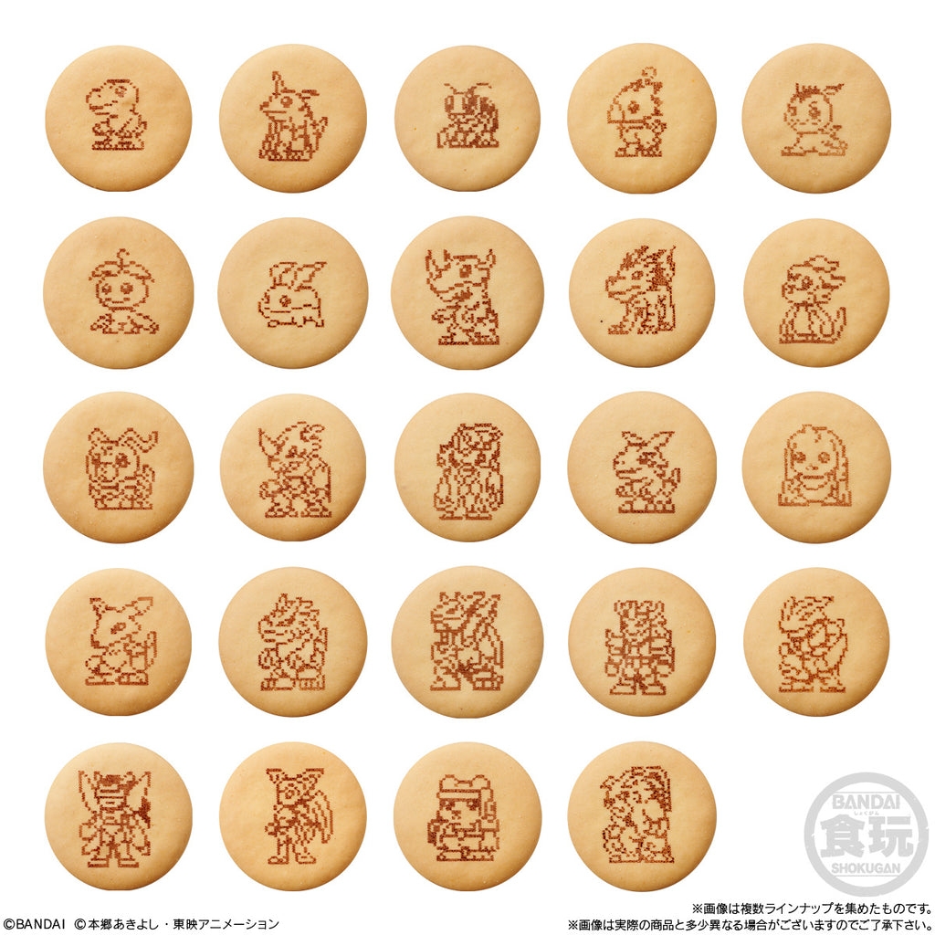 DIGIVICE PACKAGE CHARM & BISCUIT (pack of 10) 數碼暴龍 迷你包裝吊飾