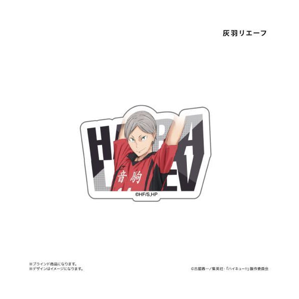 Haikyu!! Acrylic Name Badge (set of 8) 排球少年 名字襟章 徽章