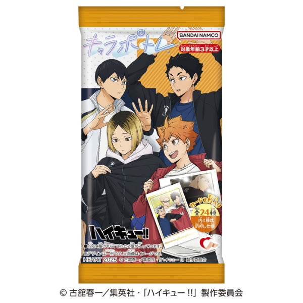 Chara Portrait Haikyu!! (pack of 10) 排球少年 收藏卡