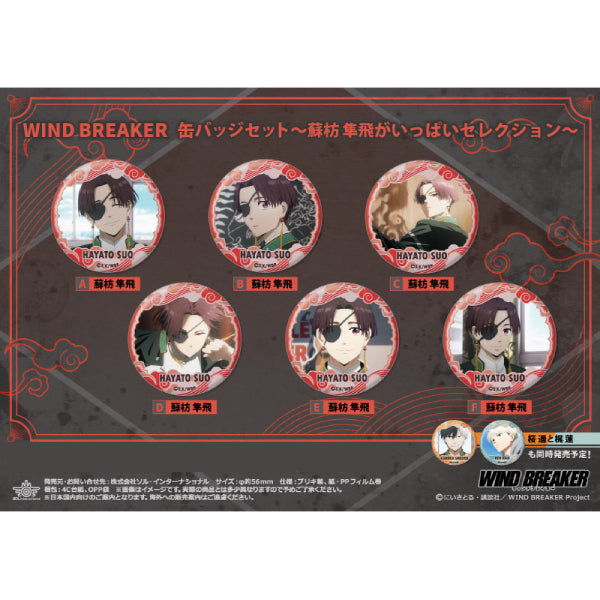 WIND BREAKER Tin Badge Set Sofang Junhi Full Selection (Set of 6) 防風少年 蘇枋隼飛 襟章