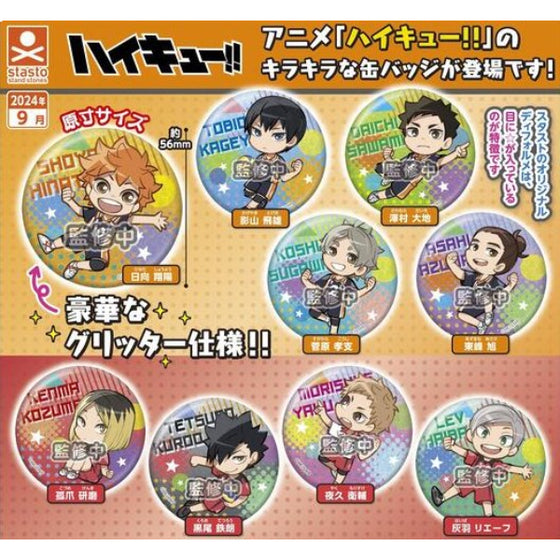Haikyu!! Glitter Can Badge (set of 9) 排球少年 襟章 扭蛋 gashapon capsule