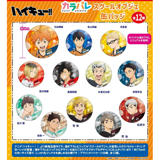 Haikyu!! Color Palette School Object Trading Can Badge (Set of 12) 排球少年 襟章
