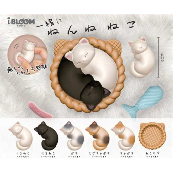 Squeeze Sleeping Kitty Cat (set of 6) 貓 扭蛋 gashapon capsule