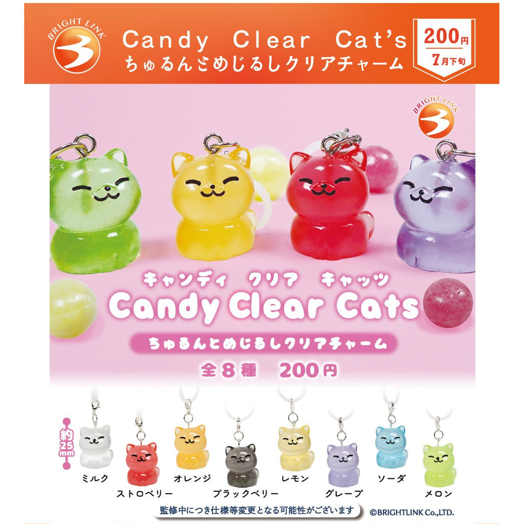 Candy Clear Cats Glossy Marker Clear Charm (box of 12) 糖果 貓