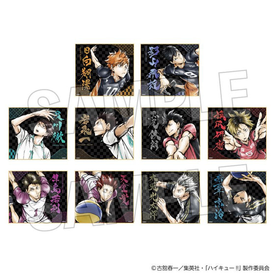 Haikyu!! Gekito!! Trading Giragira Foil Illustration Board Box (pack of 10) 排球少年 色紙