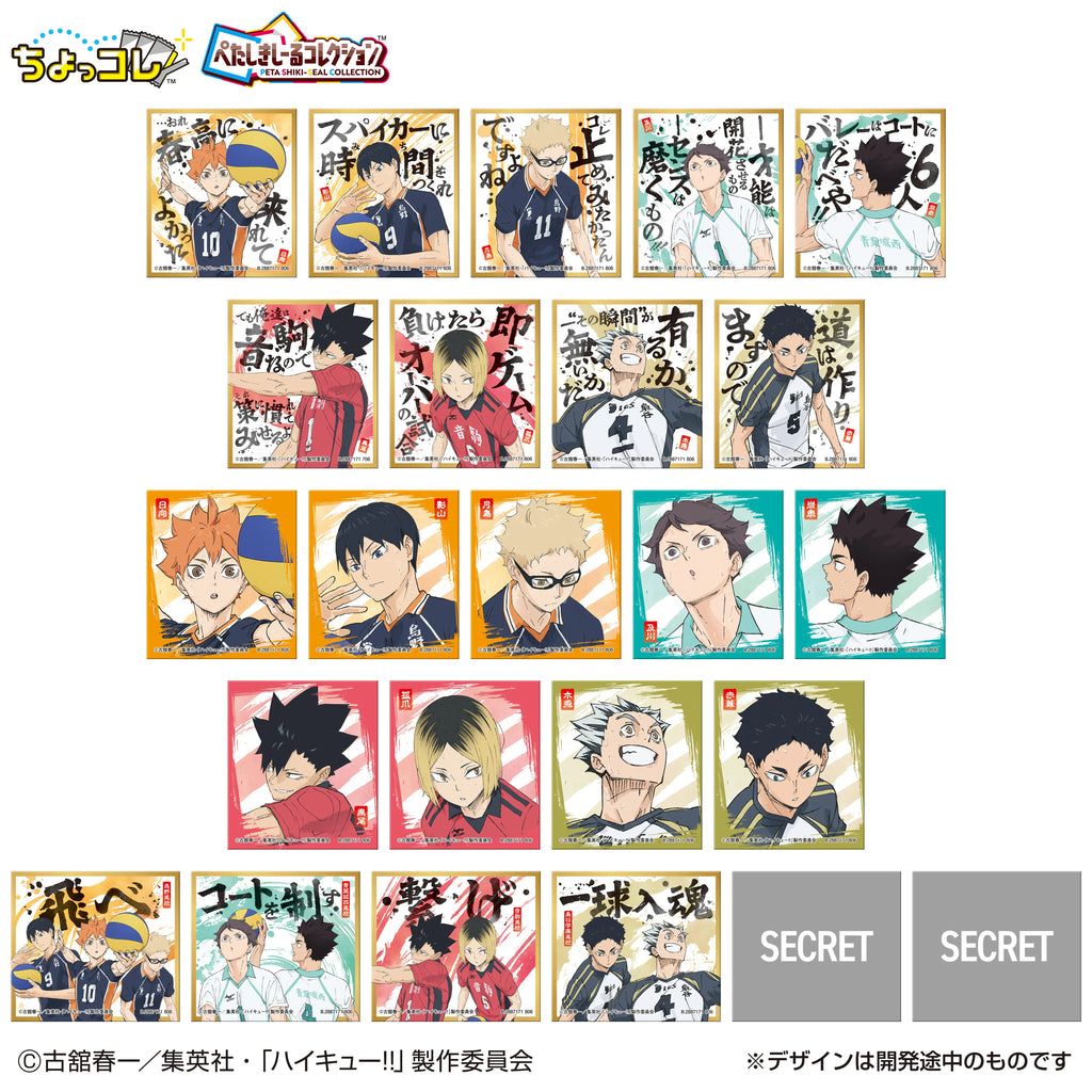 Peta-Shiki Sticker Collection Haikyu!! (pack of 12) 排球少年 色紙