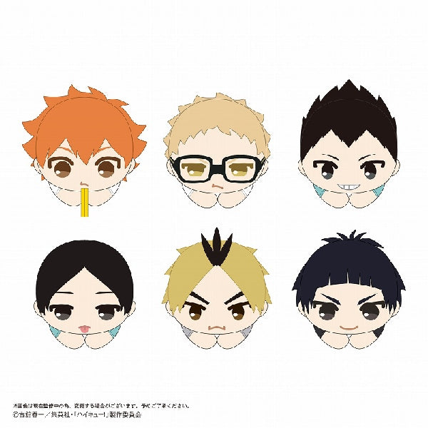 Haikyu!! Hug Character Collection 9 (set of 6) 排球少年 胖胖 夾