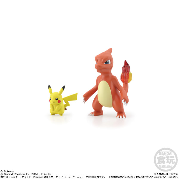 POKEMON SCALE WORLD KANTO REGION PIKACHU & CHARMELEON 寵物小精靈 寶可夢 比卡超 火恐龍