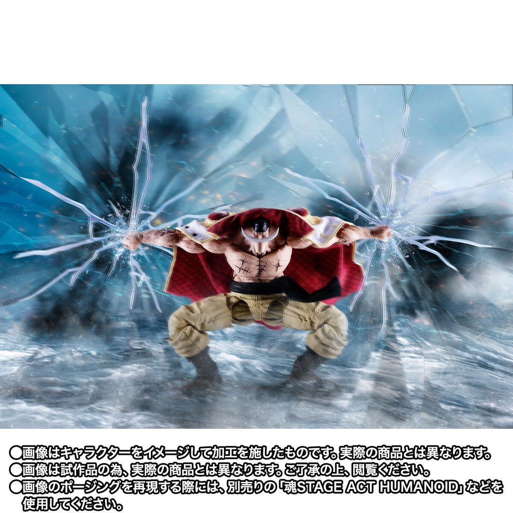 S.H.Figuarts EDWARD.NEWGATE -MARINEFORD-