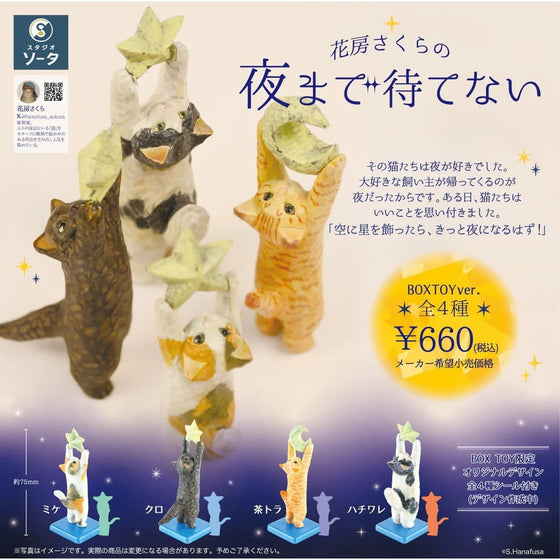 Hanabusa Sakura's Can't Wait Until Night (Box of 4)