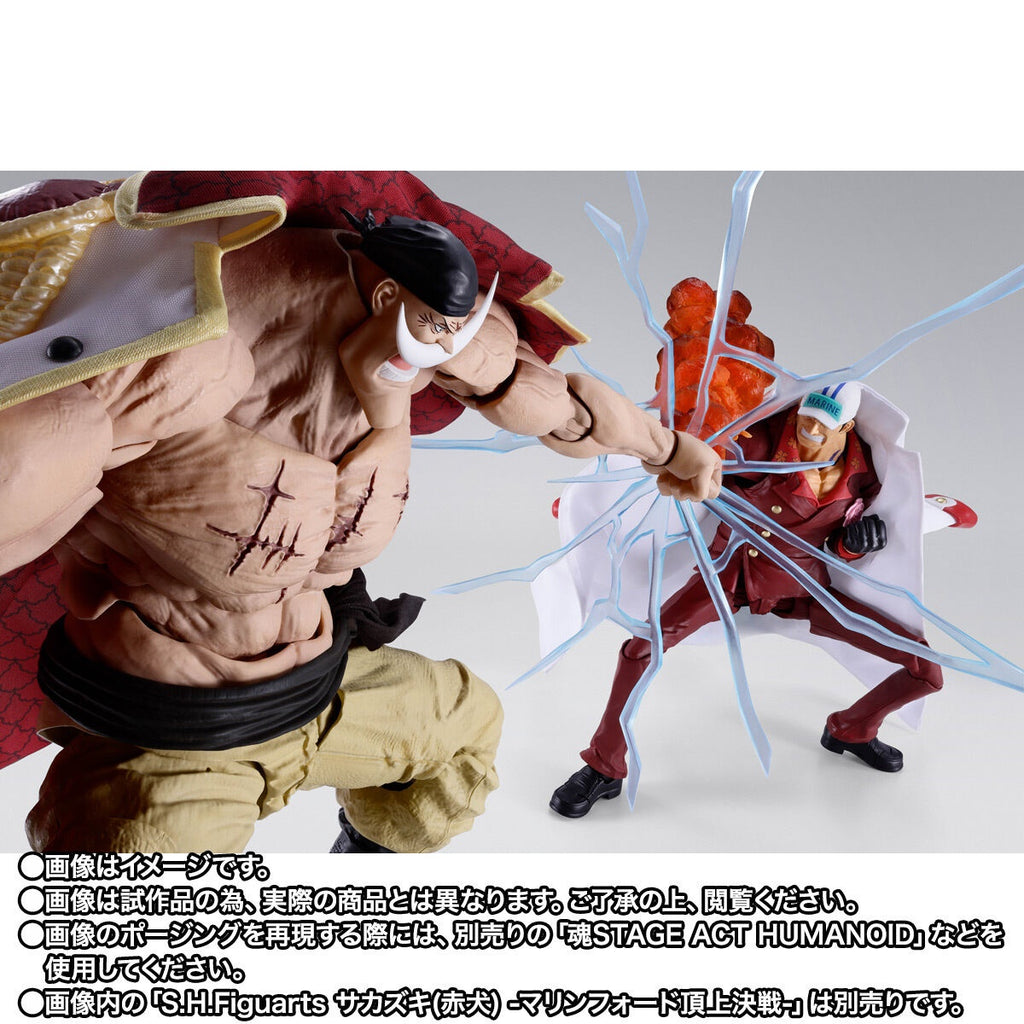 S.H.Figuarts EDWARD.NEWGATE -MARINEFORD-