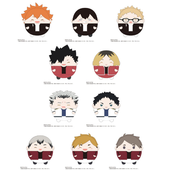 Haikyu!! 排球少年 Fuwakororin Big Special (10 variants)