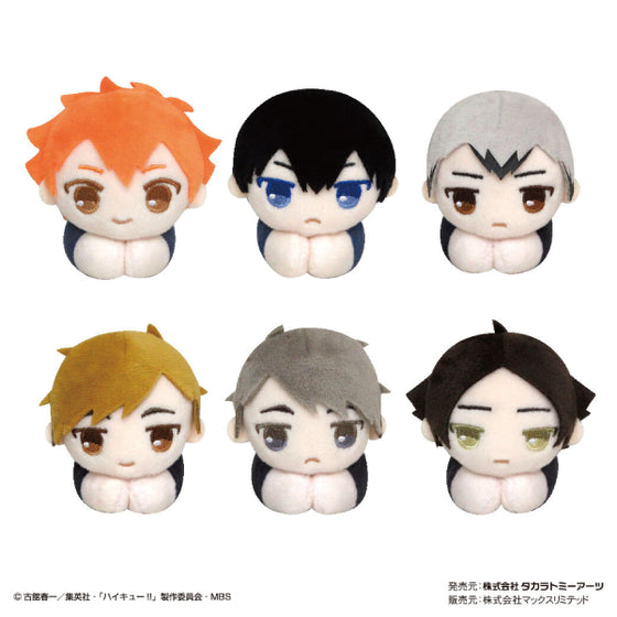 Haikyu !! Hug Character Collection (Set of 6) (2022 May Re-sale ver.)
