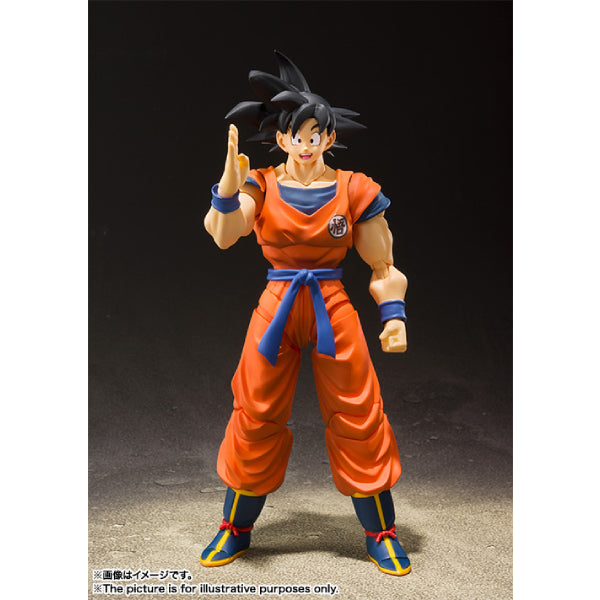 S.H.Figuarts SON GOKU -A SAIYAN RAISED ON EARTH- 龍珠 孫悟空