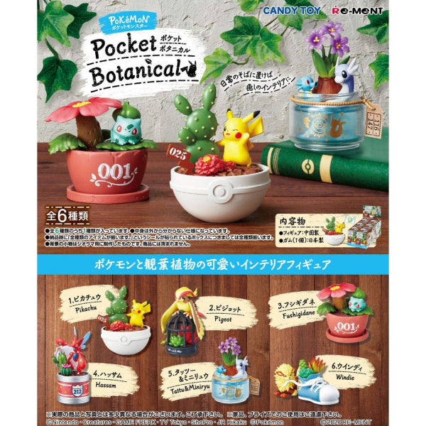 Pokemon Pocket Botanical Box Set (Set of 6)